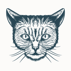 hand drawn catt artwork illustration