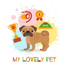 Pug care infographic concept with dog grooming