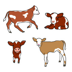 Set of cute spotted calf. Little cow runs, sniffs, walks, lies. Vector decor element for kids t-shirt design. Isolated animals on the white background.
