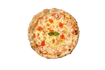 fresh pizza with different ingredients on a white background