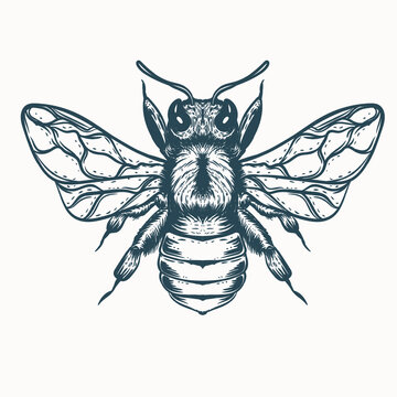 Hand Drawn Bee Tattoo Illustration