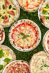 fresh pizza with different ingredients on green grass