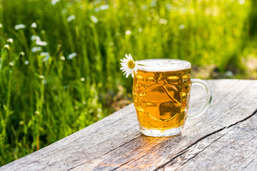 Glass of light beer and chamomile on nature