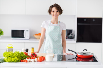 Photo of beautiful attractive housewife weekend saturday morning cooking tasty dinner family meeting good mood wear apron t-shirt stand modern utensils kitchen indoors