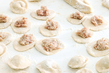 Homemade Cooking chinese Ravioli or dumplings
