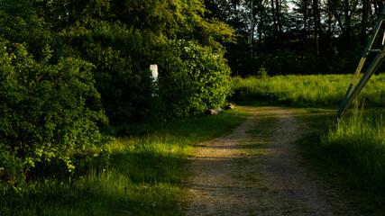 
Landscapes and views in the Botanical Garden in Radzionków. Ready for entry.