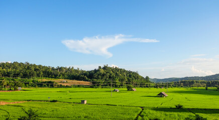 Fototapeta na wymiar Small huts in green fields landscape with the blue sky background
