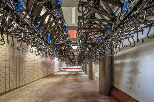 Crochets pour la viande dans un abattoir 