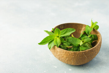Fresh garden mint on grey stone background, copy space