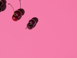 double fused ugly cherries on bright pink  background top view. copy space
