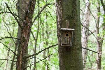 domek numer 10 © Grzegorz