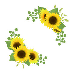Sunflower bouquet vector.Isolated on white background.Cartoon style