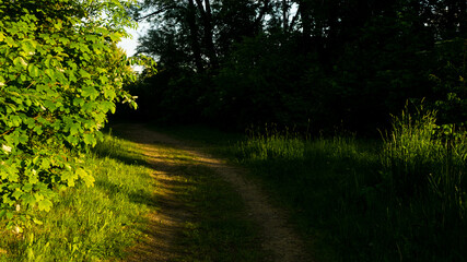 
Landscapes and views in the Botanical Garden in Radzionków. Ready for entry.
