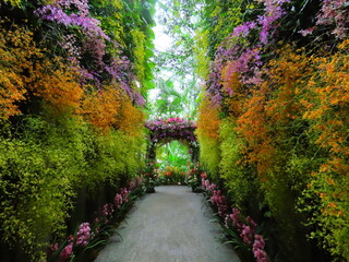 path in the garden