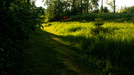 Obraz premium Landscapes and views in the Botanical Garden in Radzionków. Ready for entry.