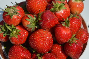 Truskawka Polska , Bez nawozów ,Ekologiczna truskawka ,Truskawka słodka ,strawbery, owoc, jedzenie, czerwień, swiezy, jagoda, strawbery, dojrzałe, słodki, zdrowa, deser,  zdrowa ekologia ,naturalna ,