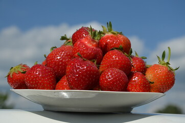 Truskawka Polska , Bez nawozów ,Ekologiczna truskawka ,Truskawka słodka ,strawbery, owoc, jedzenie, czerwień, swiezy, jagoda, strawbery, dojrzałe, słodki, zdrowa, deser,  zdrowa ekologia ,naturalna ,