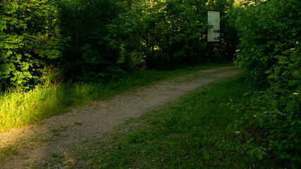 Fototapeta premium Landscapes and views in the Botanical Garden in Radzionków. Ready for entry.