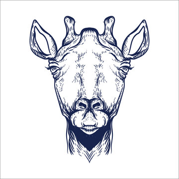 hand drawn giraffe face artwork illustration