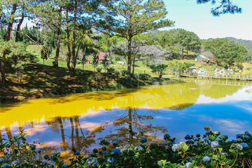 Lake in the forest, Vietnam