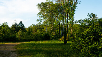 
Landscapes and views in the Botanical Garden in Radzionków. Ready for entry.