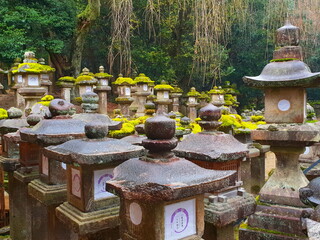 traditional japanese lantern