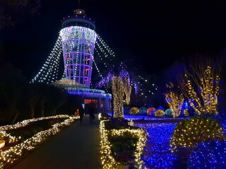 light festival, japan