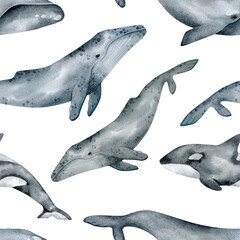 Watercolor seamless pattern with whale. Humpback, Southern right, killer whales. Realistic underwater animal. Marine mammal for baby textile, wallpaper, nursery decoration. Antarctic series.