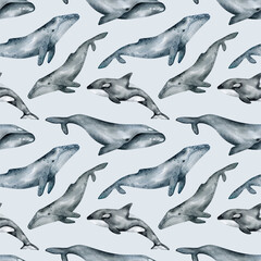 Watercolor seamless pattern with whale. Humpback, Southern right, killer whales. Realistic underwater animal. Marine mammal for baby textile, wallpaper, nursery decoration. Antarctic series.