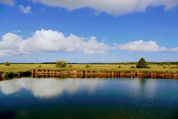 Landschaft bei Prerow auf dem Dar&szlig;, vom Fluss aus fotografiert.