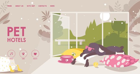 Landing page for pet hotel. Happy dog in sunglasses lies on a pillow. Interior scene about love and care to animals