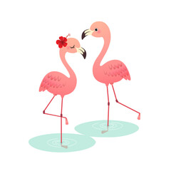 Vector illustration of cute cartoon pink flamingo couple standing on water.