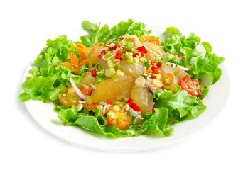 Spicy salad beef tendon Thai food appetizer ingredient Thai herbs decorate vegetables and tomato carved style side view isolated on white background