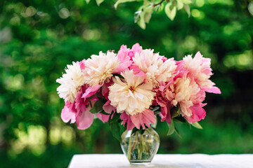 Bouquet of pink romantic peonies flowers in a glass vase on a table in the summer outdoors. Soft selective focus bokeh.
