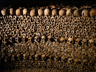 Skulls in the catacombs of Paris