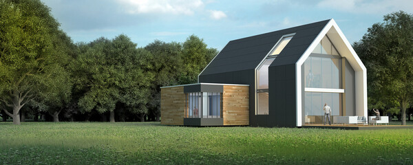 Fototapeta na wymiar Modern pitched roof house in nature