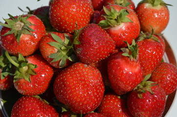 Truskawka Polska , Bez nawozów ,Ekologiczna truskawka ,Truskawka słodka ,strawbery, owoc, jedzenie, czerwień, swiezy, jagoda, strawbery, dojrzałe, słodki, zdrowa, deser,  zdrowa ekologia ,naturalna ,