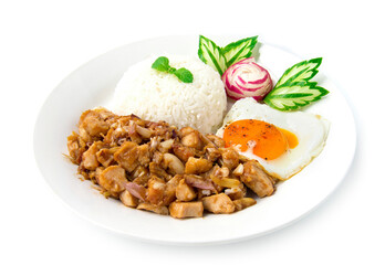 Stir fried chicken with Garlic,Rice and Fried egg