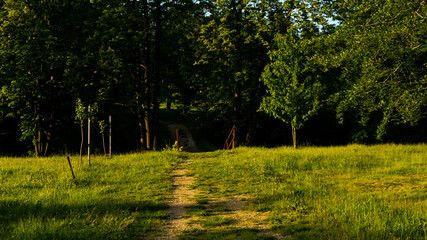 Fototapeta premium Landscapes and views in the Botanical Garden in Radzionków. Ready for entry.
