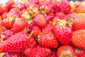 Strawberry. Fresh organic berries macro. Fruit background