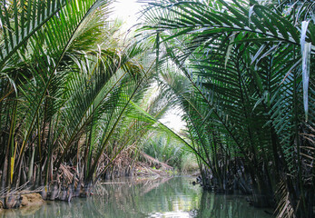 Palm trees in the water, Vietnam