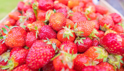 Strawberry background. Strawberries.