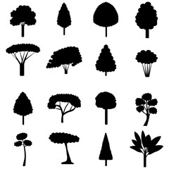 vector, isolated, tree silhouette, collection, set