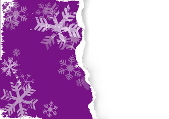 Violet grunge torn paper christmas background with snowflakes.
 llustration of torn paper template. Place for your text or image. Vector available.