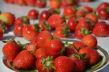 Truskawka Polska , Bez nawozów ,Ekologiczna truskawka ,Truskawka słodka ,strawbery, owoc, jedzenie, czerwień, swiezy, jagoda, strawbery, dojrzałe, słodki, zdrowa, deser,  zdrowa ekologia ,naturalna ,
