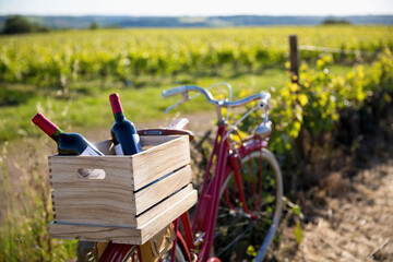 Obraz na płótnie Canvas Caisse de bouteille de vin dans une caisse en bois à l'arrière d'un vieux vélo rouge dans les vignes.