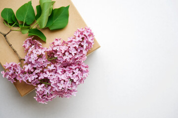 Branches of lilac blossoms on white background  with space for text. Flat lay, top view