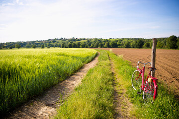 Fototapeta na wymiar Paysage de campagne en France, chemin à travers les champs.