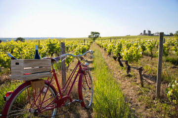 Vieux vélo rouge dans les vignes, caisse de bouteilles de vin sur le porte bagage.
