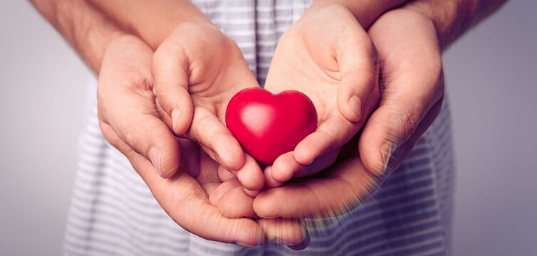 Family holding small red heart in hands together, closeup. Banner design
